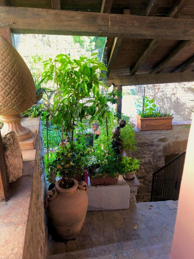 B&B La Fontana Di Pegaso 티볼리 외부 사진