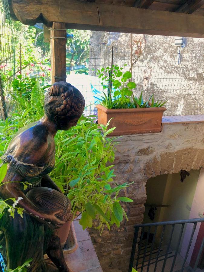 B&B La Fontana Di Pegaso 티볼리 외부 사진